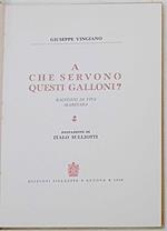 A che servono questi galloni? Racconti di vita marinara