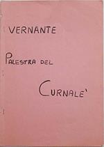 Vernante. Palestra del Curnalé