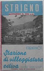 Strigno. Altitudine m. 506 s.m. (Trentino) Stazione di villeggiatura estiva