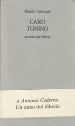 Caro Tonino. Un anno dal diluvio