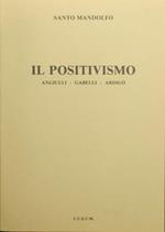 Il Positivismo. Angiulli. Gabelli. Ardigò