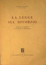 La legge sul divorzio. Manuale di diritto sostanziale e processuale