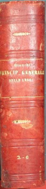 Principii generali sulle leggi. Spiegazione delle disposizioni premesse al Codice civile italiano sulla pubblicazione, interpretazione ed applicazione delle leggi in generale