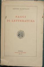 Saggi di letteratura