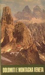 Dolomiti e montagna veneta. Itinerari turistici