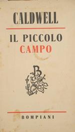 Il piccolo campo