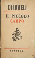 Il piccolo campo