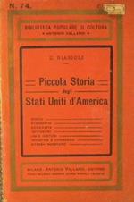 Piccola storia degli Stati Uniti d'America