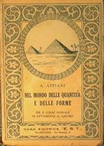 Nel mondo delle quantità e delle forme. Per il corso secondario annuale di avviamento al lavoro