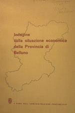 Indagine sulla situazione economica della Provincia di Belluno