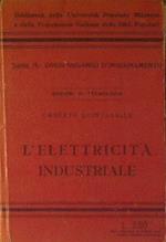 L' elettricità industriale