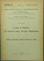 L' opera d'irrigazione del Consorzio Acque dell'Agro Monfalconese. Bollettino dell'Istituto Statistico-Economico di Trieste