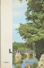 L' ombra. Romanzo