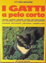 I gatti a pelo corto. Siamese, abissino, burmese, havana, ecc