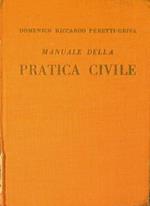 Manuale della pratica civile