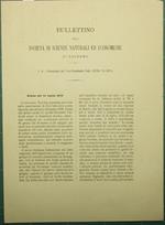 Bullettino della Società di scienze naturali ed economiche di Palermo. N. 8