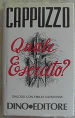 Quale esercito? Dialogo con emilio cavaterra