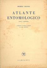 Atlante entomologico (esclusi i lepidotteri)