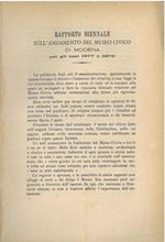 Rapporto biennale sull'andamento del museo di Modena per gli anni 1877 e 1878