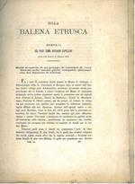 Sulla balena etrusca. Memoria... Sulla scoperta di un gruppo di vertebre di vera Balena nelle sabbie gialle compatte plioceniche dei dintorni di Chiusa