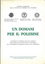 Un domani per il Polesine. Contributi e proposte ddei Club - Service della provincia di Rovigo per la sicurezza ed il progresso economico - sociale del territorio