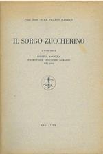 Il sorgo zuccherino