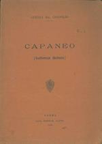 Capaneo (conferenza dantesca)