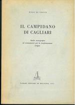 Il campidano di Cagliari. Studio monografico ed orientamenti per la trasformazione irrigua