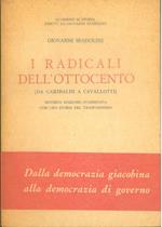 I radicali del'ottocento (Da Garibaldi a Cavallotti). Seconda edizione aumentata con una storia del trasformismo