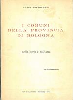 I comuni della Provincia di Bologna nella storia e nell'arte