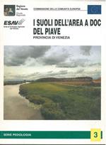 I suoli dell'area a doc del Piave. Provincia di Venezia