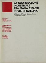 La Cooperazione Industriale tra Italia e Paesi in Via di Sviluppo