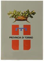 Provincia di Torino. Storia Ruolo Funzioni