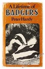 A Lifetime of Badgers
