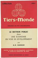 Le Secteur Public Dans Une Economie en Voie de Developpement