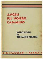 Angeli sul Nostro Cammino. Meditazioni