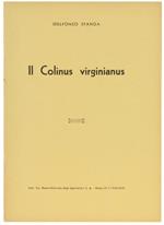 Il Colinus Virginianus