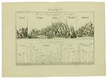 Geografia. Due Incisioni Originali in Rame (Cm 33X24,5) Tratte Da: Enciclopedia Italiana e Dizionario Italiano della Conversazione