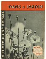 Photographies Dan Le Jardin