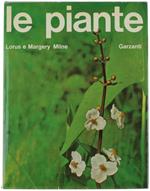 Le Piante