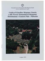 Guida Al Giardino Montano Linasia E Alle Foreste Demaniali Di Marganai, Montimannu E Gutturu Pala. Pubusinu