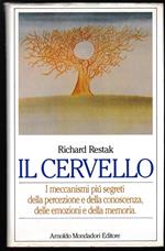 Il cervello