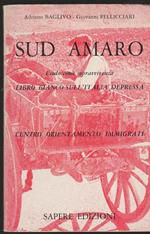Sud Amaro: esodo come sopravvivenza Libro bianco sull'Italia depressa