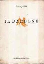 Il Barbone