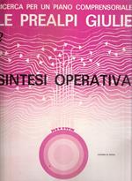 Le Prealpi Giulie. Sintesi Operativa. Vol. 2