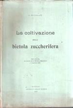 La Coltivazione Della Bietola Zuccherifera