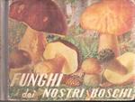 Funghi Dei Nostri Boschi