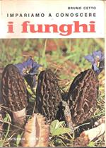 Impariamo A Conoscere I Funghi