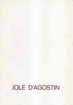 Jole D'agostini 1921. 1981 Catalogo Mostra Galleria D'arte Fogolino Gennaio 1983