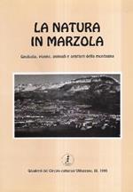 La Natura In Marzola. Geologia, Piante, Animali E Sentieri Della Montagna